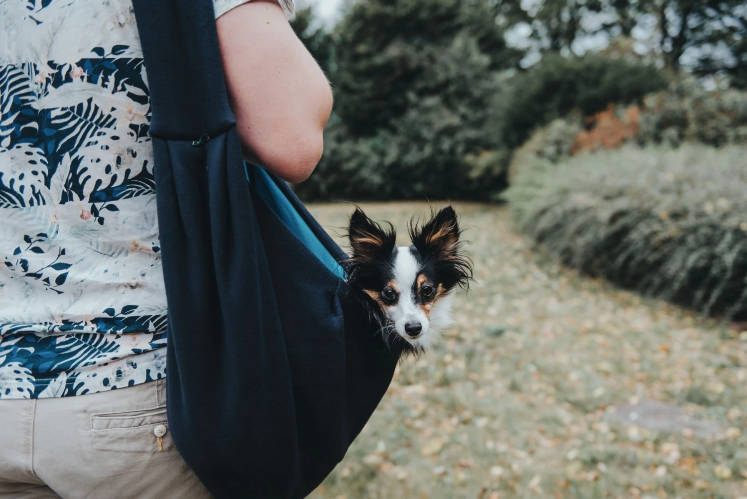 Hunter Pets - Los Angeles Dog Carry Bag/Sling - Various Colours 9 Hunter Pets - Los Angeles Dog Carry Bag/Sling - Various Colours - Image 7