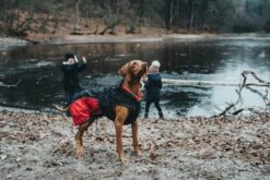 Hunter Uppsala Allrounder Dog Coat - Anthracite/Red -Pet dog hunter 14230 66236 001 live 19 lpr