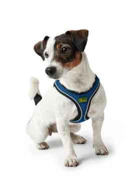 Hunter Hilo Comfort Harness – Blue -Pet dog hunter 15993 67477 001 image 19 lpr 416x624 1