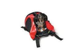 Hunter Pets - Dog Rucksack Carrier Taylor – Red -Pet dog hunter 16650 rgb