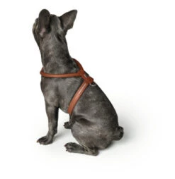 Hunter Harness Round & Soft Luxus Elk Petit – Brown -Pet dog hunter 17105 43542 002 image 20 lpr 416x427 1