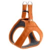 Hunter Hilo Leather Harness – Orange -Pet dog hunter 17195 68420 001 20 lpr