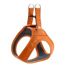 Hunter Hilo Leather Harness – Orange -Pet dog hunter 17195 68420 001 20 lpr 1 2