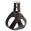 Hunter Hilo Leather Harness – Brown 1 Hunter Hilo Leather Harness – Brown -Pet dog hunter 17200 68424 001 20 lpr