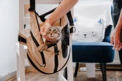 Hunter Pets - Dog Backpack/Front Carrier Bag Kangaroo 24 Hunter Pets - Dog Backpack/Front Carrier Bag Kangaroo -Pet dog hunter 18145 rgb