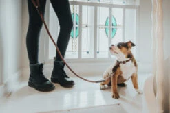 Hunter Leash Round & Soft Cody 10/100 – Brown/Dark Brown -Pet dog hunter 9785 65237 001 live 17 lpr 416x278 1