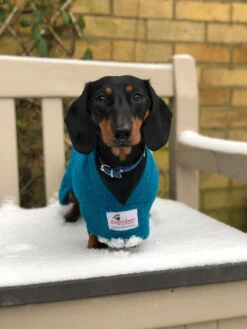 Dogrobes - Dog Robe Drying Coat - Teal -Pet dog image0 2