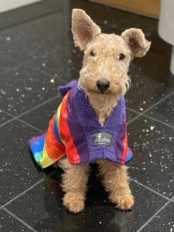 Dogrobes - Dog Robe Drying Coat - Exclusive - Rainbow -Pet dog image0 3