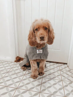 Dogrobes - Dog Robe Drying Coat - Grey 15 Dogrobes - Dog Robe Drying Coat - Grey -Pet dog image1