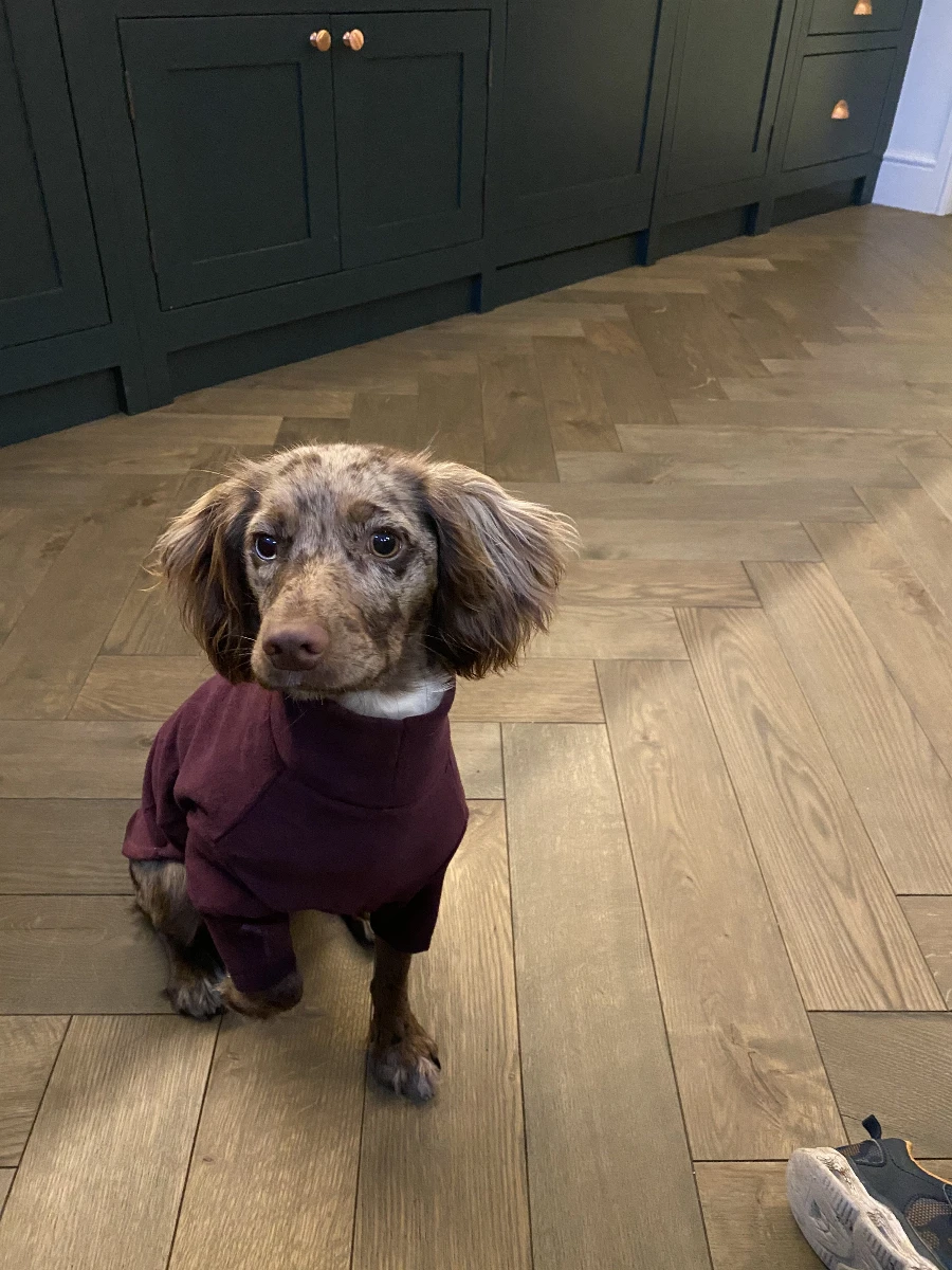 HOTTERdog Equafleece Dog Fleece - Grape 6 HOTTERdog Equafleece Dog Fleece - Grape - Image 4