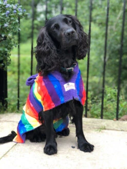 Dogrobes - Dog Robe Drying Coat - Exclusive - Rainbow -Pet dog img 4371