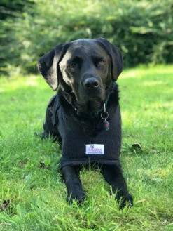 Dogrobes - Dog Robe Drying Coat - Black -Pet dog img 9518 2