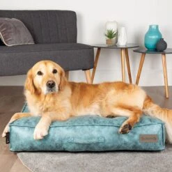 Scruffs - Knightsbridge Dog Mattress Bed - Turquoise -Pet dog knightsbridgemattressturqimg4 740x 914fd4b7 4dcc 4359 aacf 73ac9fa56bca