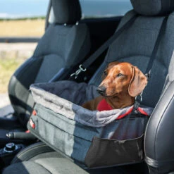KONG - Dog Car Booster Seat -Pet dog kong booster seat 2