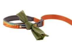 Ruffwear Flat Out Adjustable Dog Lead - Fall Mountain -Pet dog lat out leash fall mountains accessory loop 640x db10c73d 54b8 4001 8fe0 6f763e55182c