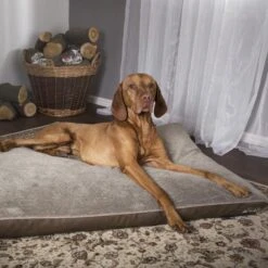 Scruffs - Chateau Memory Foam Orthopaedic Dog Mattress - Latte -Pet dog latte chateau mattress 2 grande 762a25d4 c10e 47d7 9b53 a5cd176cb389