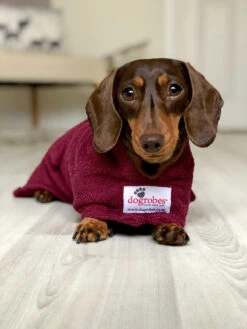 Dogrobes - Dog Robe Drying Coat - Burgundy 11 Dogrobes - Dog Robe Drying Coat - Burgundy -Pet dog lola dachshund burgundy dogrobe
