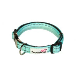 Doodblebone Padded Dog Collar -Pet dog m7LsGVQhWkpHh7QmgHK5jYIMTGPiJI5gnkAZXMxu 1