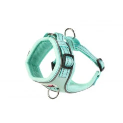 Doodlebone Adjustable Airmesh Dog Harness -Pet dog mGvhKw3nDRbPP8Uofnlr98UWqHcRNXqWfLkTOFnk