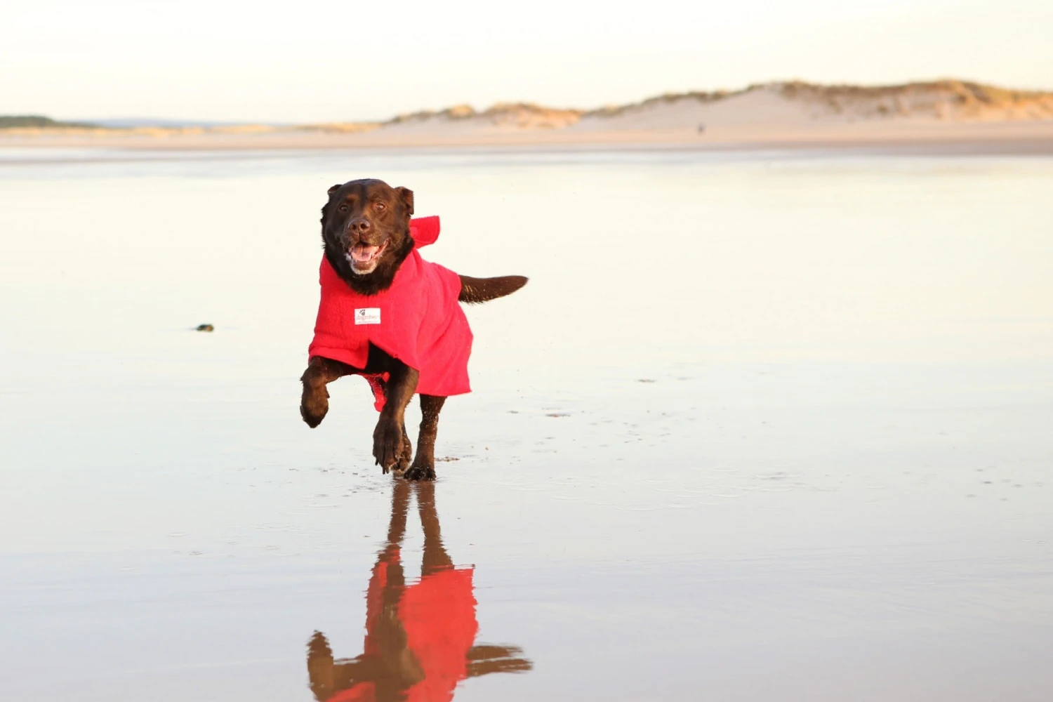 Dogrobes - Dog Robe Drying Coat - Red 11 Dogrobes - Dog Robe Drying Coat - Red - Image 9