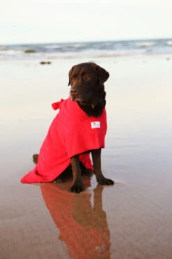 Dogrobes - Dog Robe Drying Coat - Red 19 Dogrobes - Dog Robe Drying Coat - Red -Pet dog margaret 49