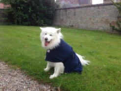 Dogrobes - Dog Robe Drying Coat - Navy -Pet dog maxi