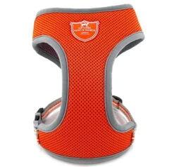 Hugo & Hudson - Orange Mesh Dog Harness