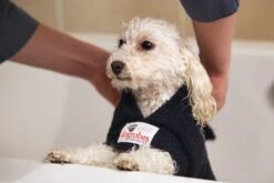 Dogrobes - Dog Robe Drying Coat - Navy -Pet dog missie getting dogrobe on in bath 4161