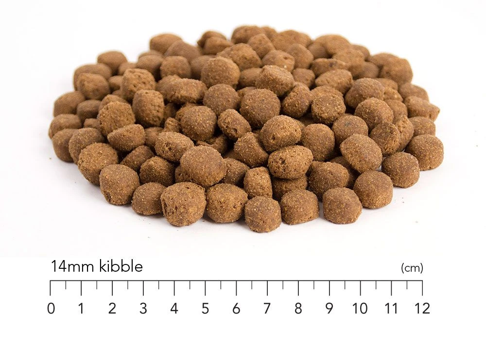 MORE Dog +Support Chicken All Breeds - Dry Dog Food 4 MORE Dog +Support Chicken All Breeds - Dry Dog Food - Image 2