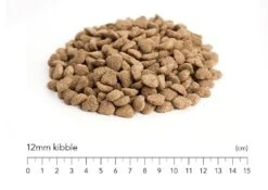 Front Page -Pet dog more light 12mm 5 3