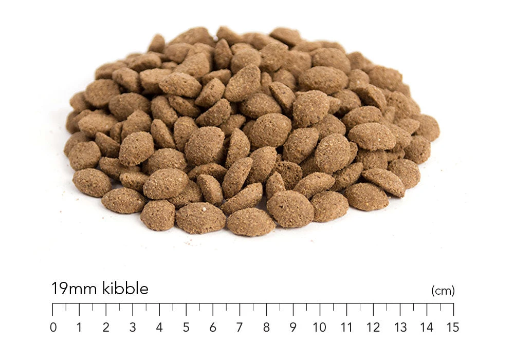 MORE Dog +Senior Chicken All Breeds - Dry Dog Food 4 MORE Dog +Senior Chicken All Breeds - Dry Dog Food - Image 2