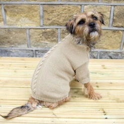 Banbury & Co - Knitted Dog Jumper - Ivory -Pet dog normal ivory chunky knit dog jumper