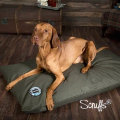 Scruffs - Expedition Orthopaedic Pillow Dog Bed -Pet dog olive expedition mattress ls5 2