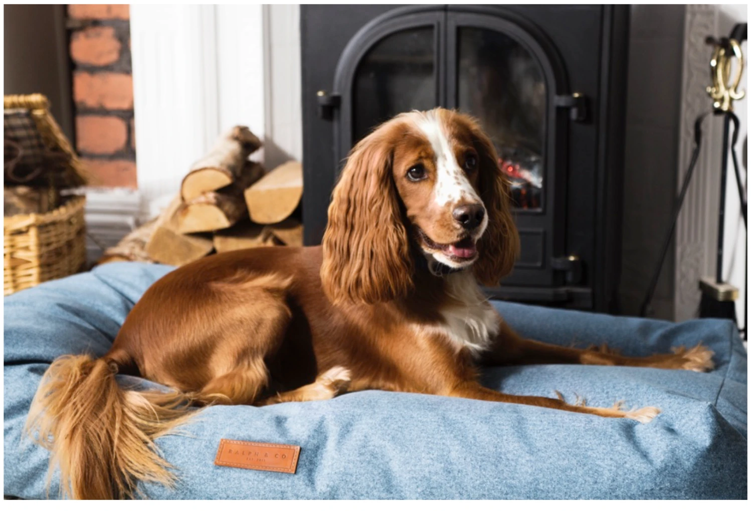 Ralph & Co Chenille Dog Bed - Rayleigh Pillow 6 Ralph & Co Chenille Dog Bed - Rayleigh Pillow - Image 4