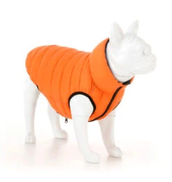 Hugo & Hudson - Orange & Navy Puffer Jacket -Pet dog orange3