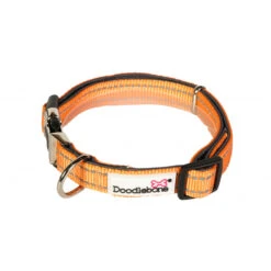 Doodblebone Padded Dog Collar -Pet dog pElW9QzSQ4XNGC9eJc0iKQsUpqBh7VZ0F0ciIybW
