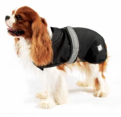 Danish Design - Black 2-in-1 Ultimate Dog Coat -Pet dog padegnfa