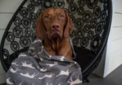 Tall Tails - Grey Icon Dog Blanket -Pet dog palmettomoonpointers.06