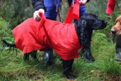 Dogrobes - Dog Robe Drying Coat - Red 18 Dogrobes - Dog Robe Drying Coat - Red -Pet dog paris margot putting dogrobe on