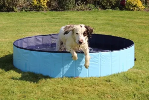 Rosewood - Cool Down Foldable Dog Paddling Pool 4 Rosewood - Cool Down Foldable Dog Paddling Pool - Image 2