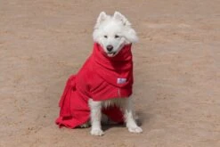 Dogrobes - Dog Robe Drying Coat - Red 20 Dogrobes - Dog Robe Drying Coat - Red -Pet dog phoebe samoyed red dogrobe
