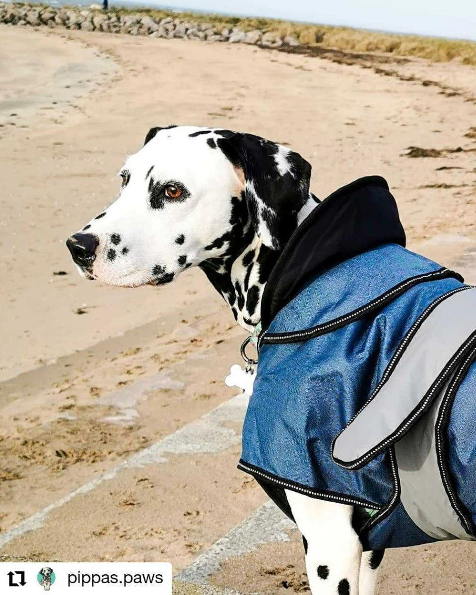 Danish Design - Blue 2-in-1 Ultimate Dog Coat 5 Danish Design - Blue 2-in-1 Ultimate Dog Coat - Image 3