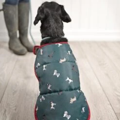 Sophie Allport Walkies Dog Coat 8 Sophie Allport Walkies Dog Coat -Pet dog ppc32s walkies dog coat small lifestyle high res square 720x c97d00f9 ab04 47cf 8813 4e889b1eeb8f