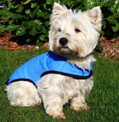 Vital Prestige - Cool Dog Cooling Vest Coat Blue 9 Vital Prestige - Cool Dog Cooling Vest Coat Blue -Pet dog precoatsm