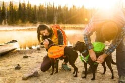 Ruffwear Approach Pack Dog Harness - Orange Poppy 9 Ruffwear Approach Pack Dog Harness - Orange Poppy -Pet dog product page header approach pack 882x589 74758794 a6b5 41f1 9299 e57bd71fee7b