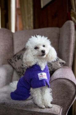 Dogrobes - Dog Robe Drying Coat - Purple -Pet dog purple hr 4