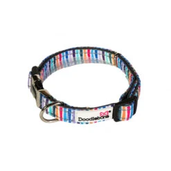 Doodblebone Padded Dog Collar -Pet dog q0hdHynoDzmM7OaERP0BwIwHi2tViJakh0d7lofC