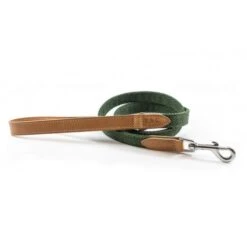 Ralph & Co Canvas & Leather Dog Lead -Pet dog r ccanleatherrichmondgreen 1