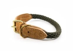 Ralph & Co - Braided Rope Dog Collar -Pet dog ralph and co braided rope dog collar khaki green 3380608008307 817x568 1