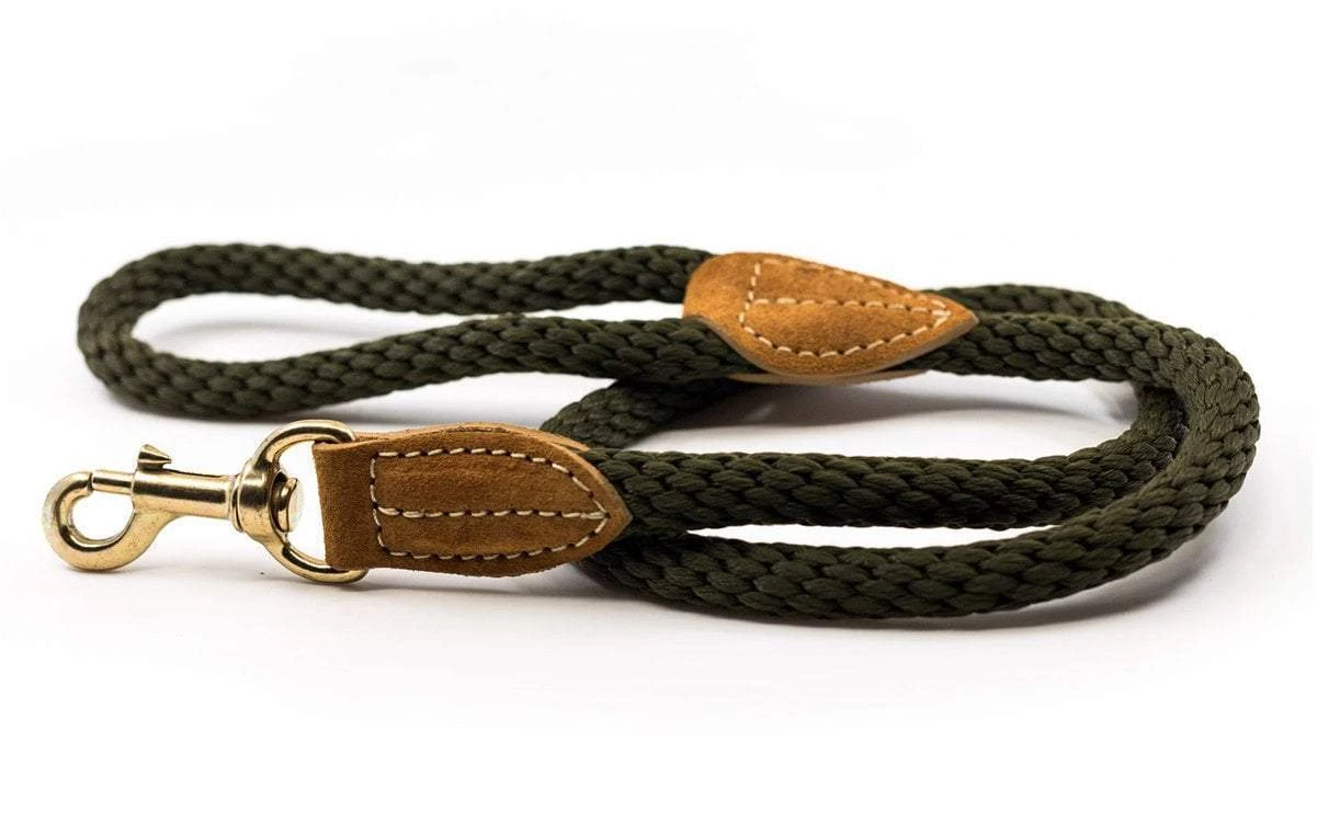 Ralph & Co - Braided Rope Dog Lead 4 Ralph & Co - Braided Rope Dog Lead - Image 2